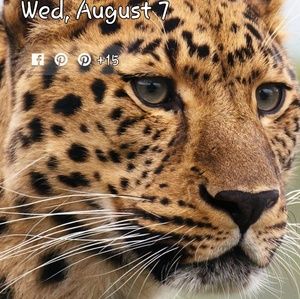 Meet your Posher, Anita